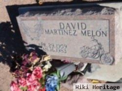 David Martinez Melon