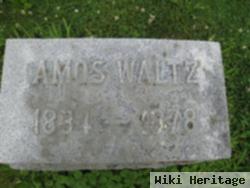 Amos Waltz