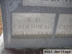 W. D. Cadenhead