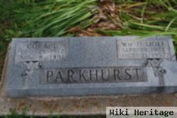 William Henry "joe" Parkhurst