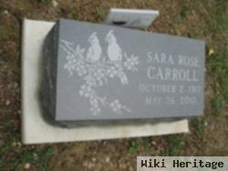 Sara Rose Fink Carroll