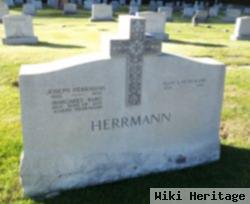 Mary H Herrmann