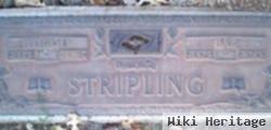 Elisha Burke Stripling