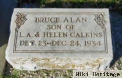 Bruce Alan Calkins