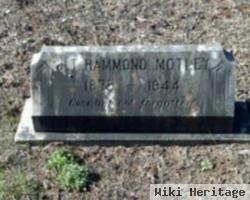 J.t. Hammond Motley