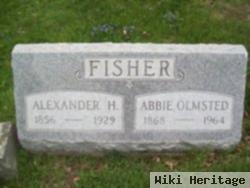 Alexander H Fisher