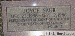 Joyce Saur