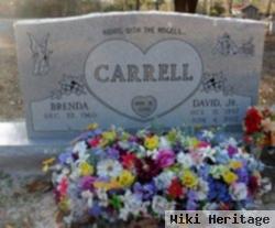 David Alexander "dave" Carrell, Jr