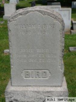 William A. Bird