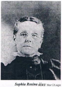 Sophia Rosina "sophie" Hess Dauberschmidt