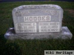 George Robert Hodges