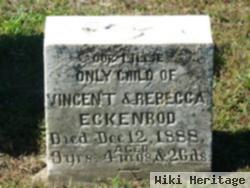 Lillie Elizabeth Eckenrod