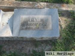 Lily M. Wingate