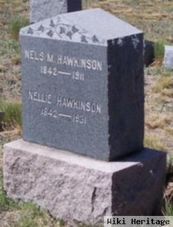 Nellie Hawkinson