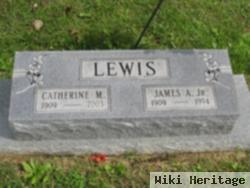 Catherine M Lewis