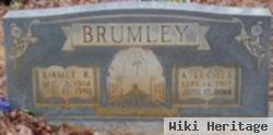 Kirmet R Brumley