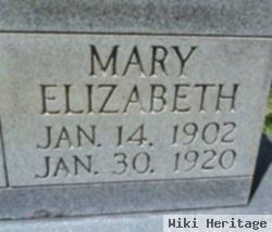 Mary Elizabeth Hollingsworth