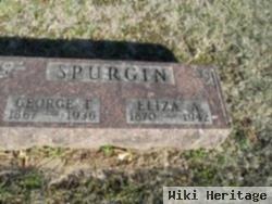 Eliza Ann Spurgin