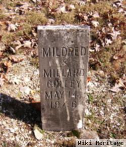 Millard Gulley