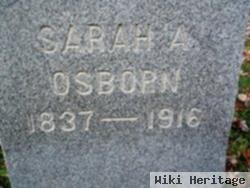 Sarah Ann Horton Osborn