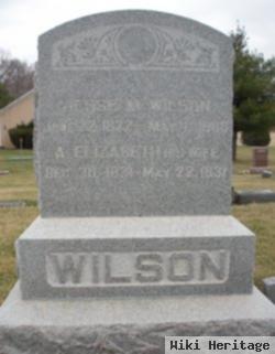 Jesse M. Wilson