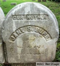 Jane S Burr