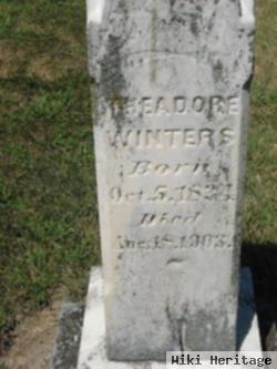 Theodore Winters