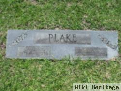 David H Plake