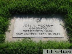 Joel E Mccrum