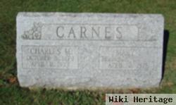 Mary I. Carnes