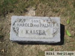 Palmer F Kaiser