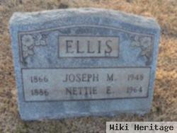 Joseph M Ellis