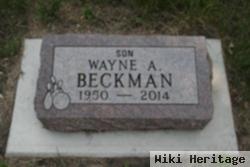 Wayne Beckman