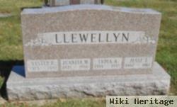 Lydia Ann Young Llewellyn