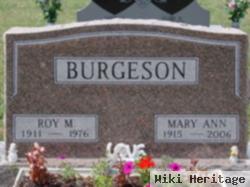 Mary Ann Hilsabeck Burgeson