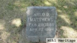 Arlo B. Matthews