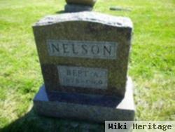 Bert A. Nelson