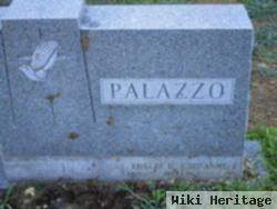 Robert D. Palazzo