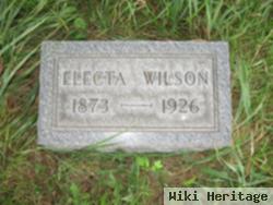 Electa Rogers Wilson