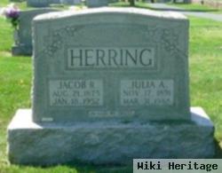 Jacob R Herring