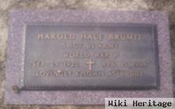 Harold Hale "buddy" Brumit