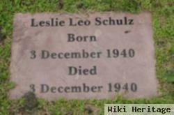 Leslie Leo Schulz