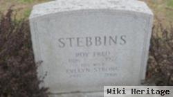 Evelyn Strong Stebbins