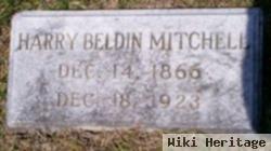 Harry Beldin Mitchell