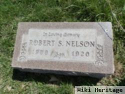 Robert S Nelson