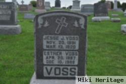 Jesse J. Voss