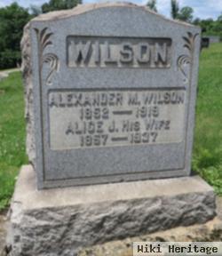 Alice J. Wilson