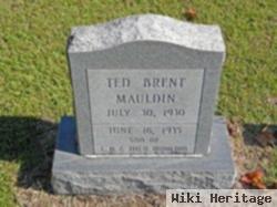 Ted Brent Mauldin