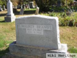 Elmer Walker Brandt