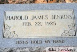 Harold James Jenkins